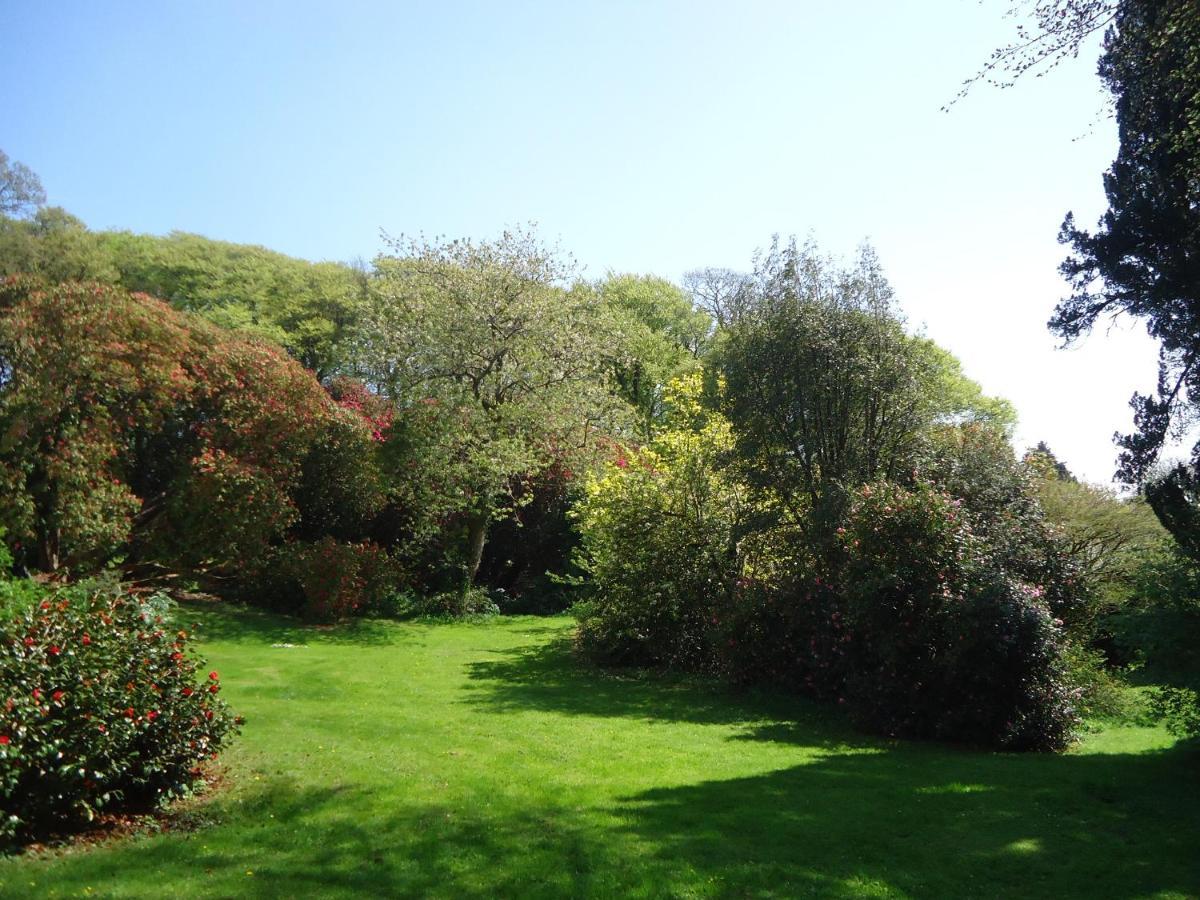 The Patio Flat Appartement Bodmin Buitenkant foto